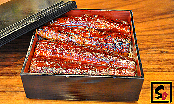 Grilled Eel Kabayaki Ju