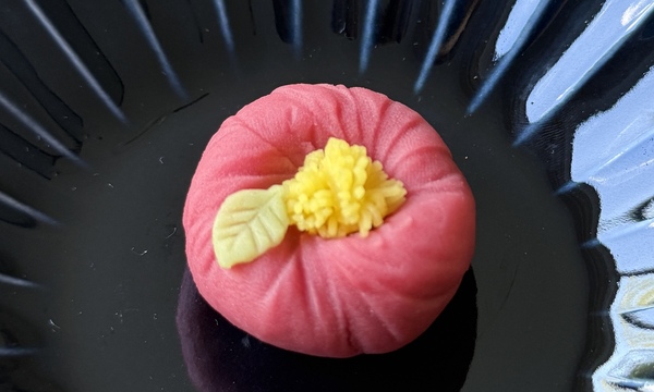 Nerikiri - Japanese Confectionary 